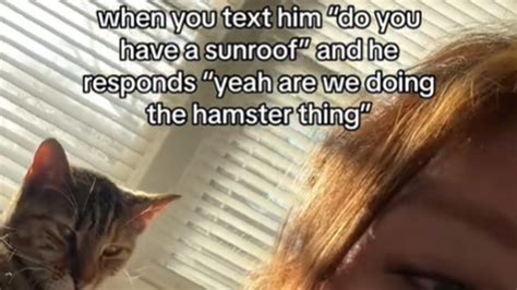 the hamster thing sunroof|hamster sunroof tiktok.